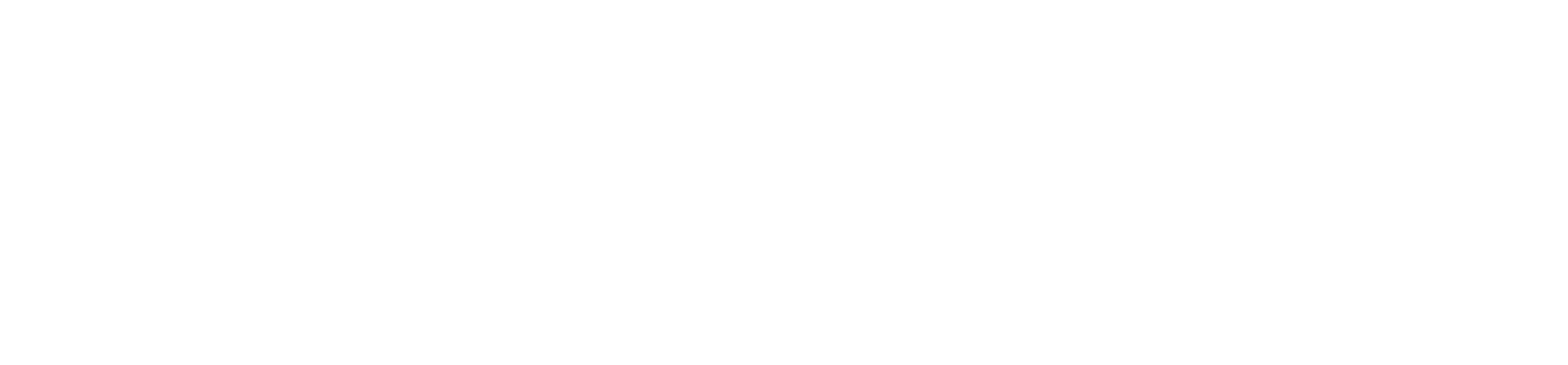 flash-sale-banner